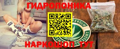 трава Лесосибирск